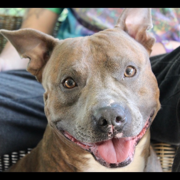 Meet your Posher, Danielle - Picture 1 of 1